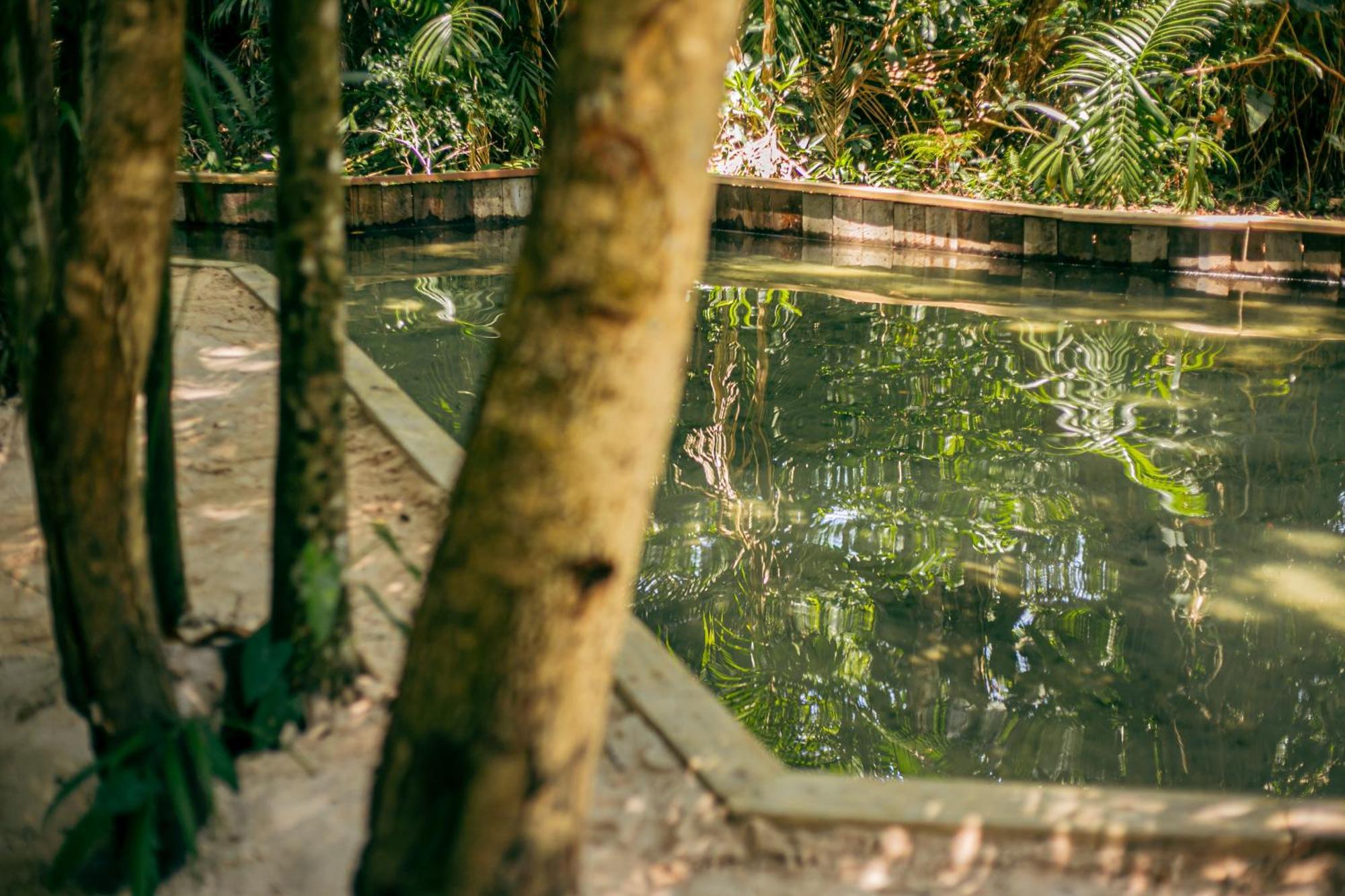 Pousada E Restaurante Amazonia Alter do Chão Ngoại thất bức ảnh